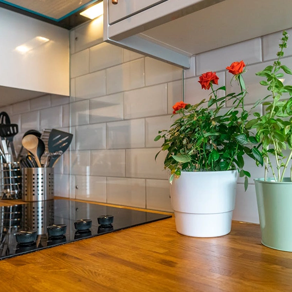 Hestia Residential Property